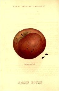 n77_w1150