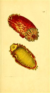 n44_w1150