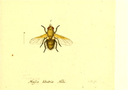 n366_w1150