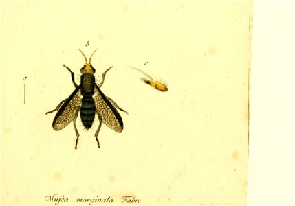 n246_w1150