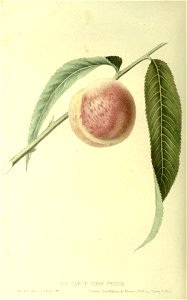 n105_w1150