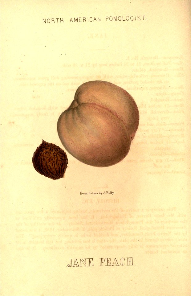 n69_w1150
