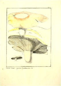n164_w1150
