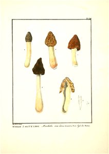 n192_w1150