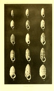 n618_w1150