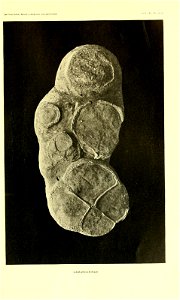 n396_w1150