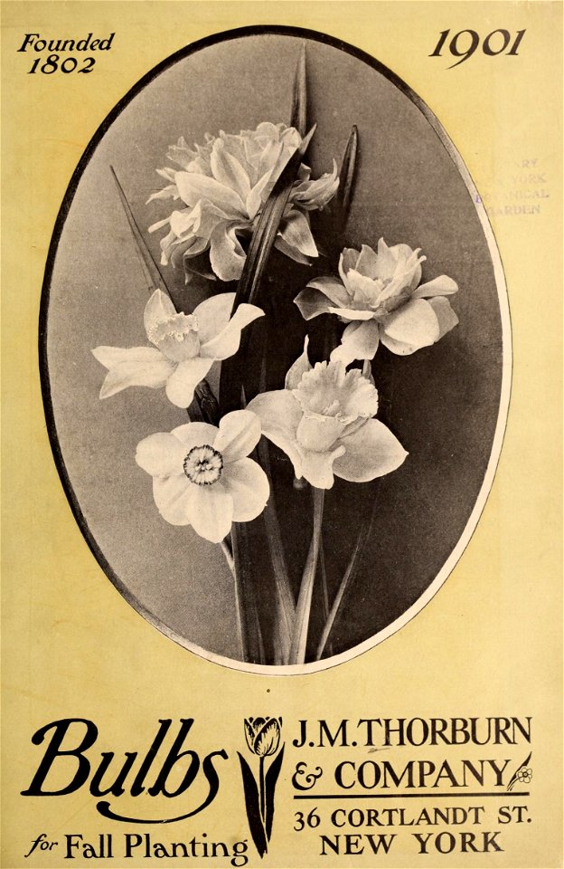 n4_w1150