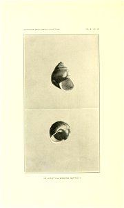 n571_w1150