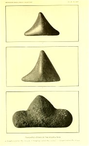 n256_w1150