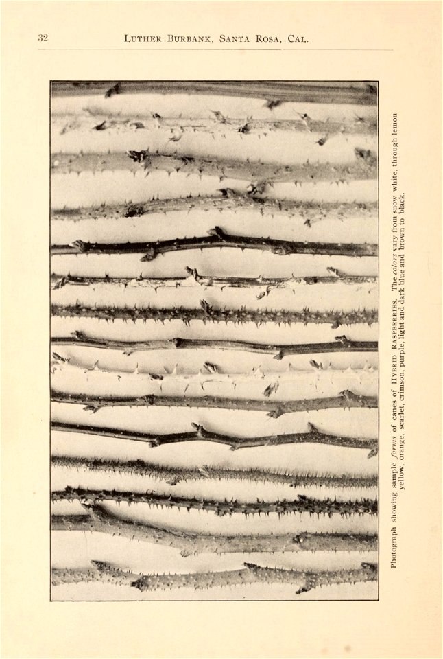 n39_w1150