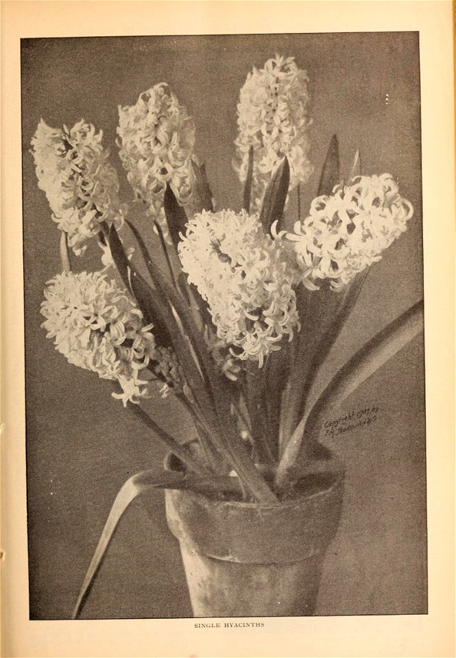n276_w1150