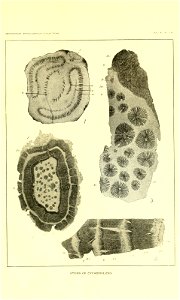 n546_w1150
