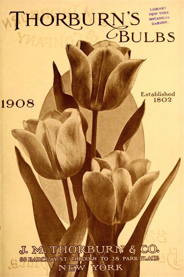 n270_w1150