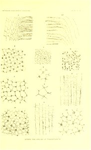 n52_w1150