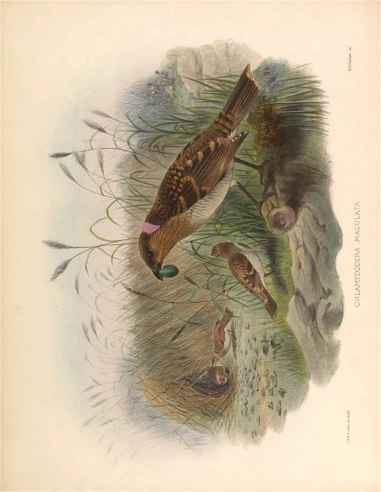 n171_w1150