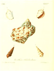 n355_w1150
