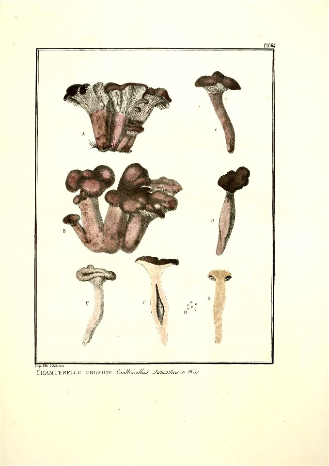 n168_w1150