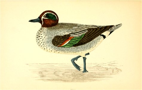 n40_w1150