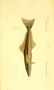n192_w1150