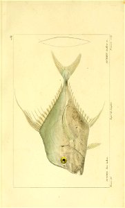 n222_w1150