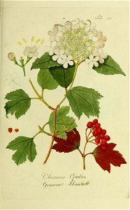 n162_w1150
