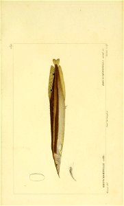 n204_w1150