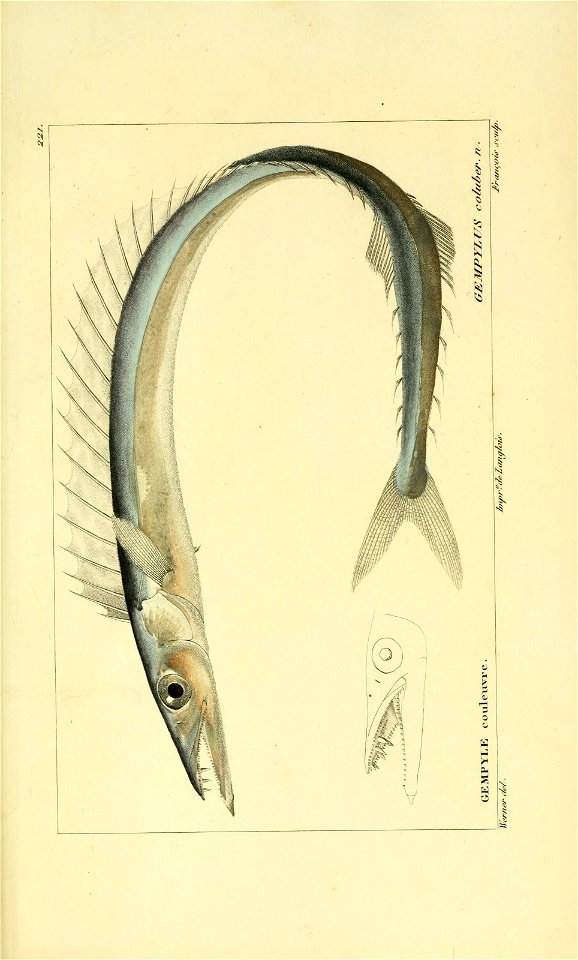 n168_w1150