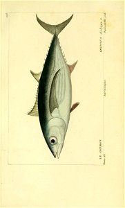 n156_w1150