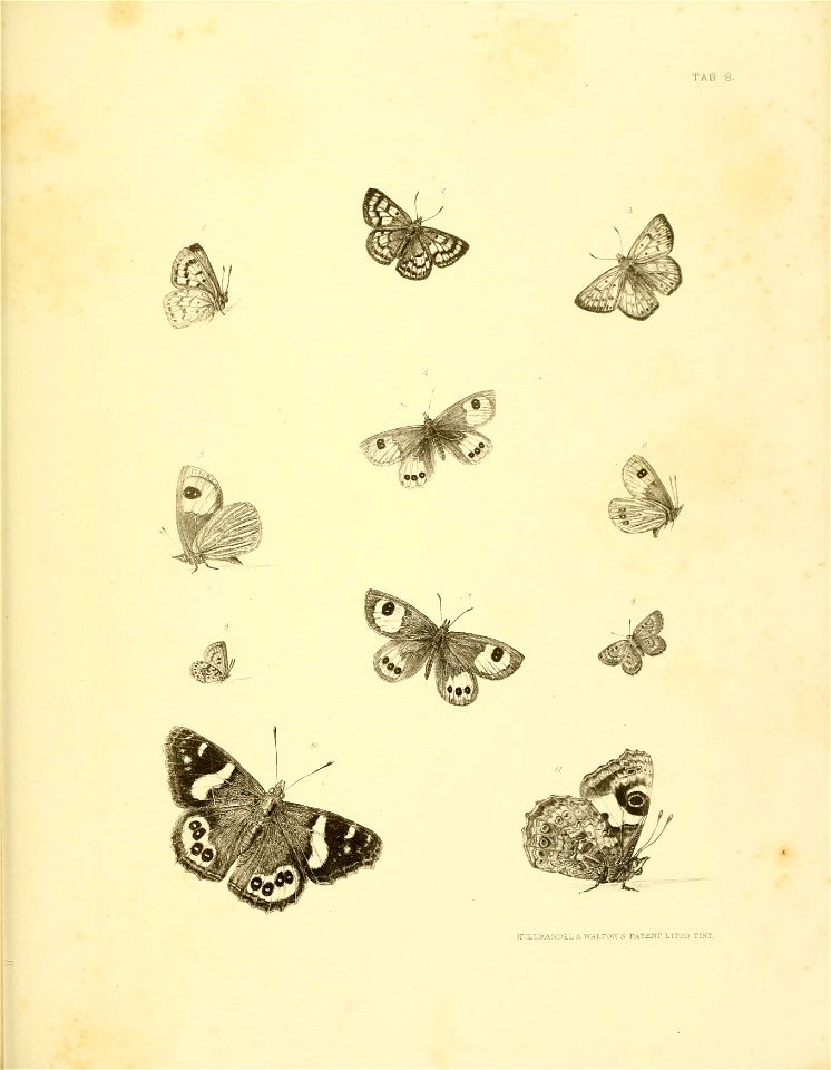 n430_w1150