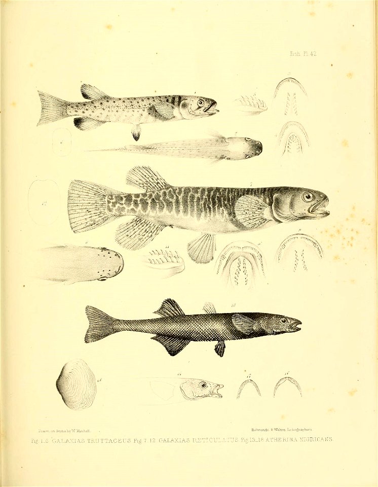 n370_w1150