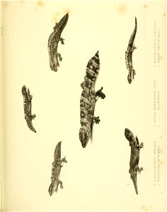 n280_w1150