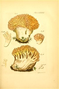 n202_w1150