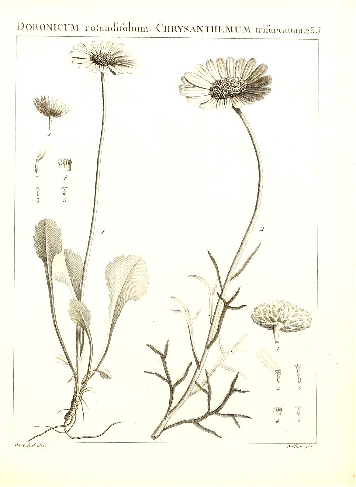 n238_w1150