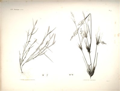 n21_w1150