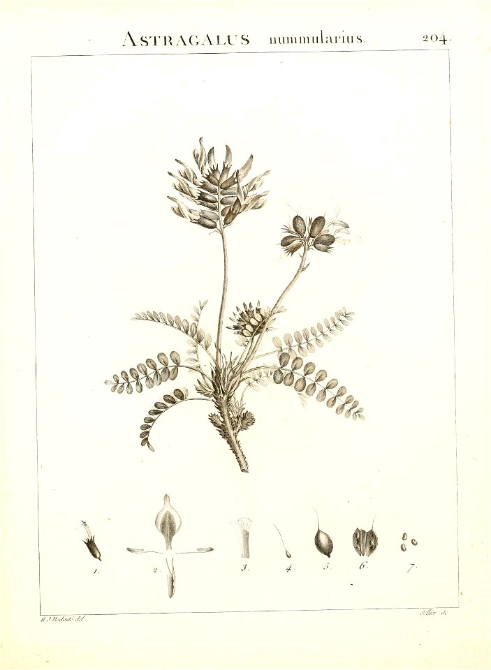 n176_w1150