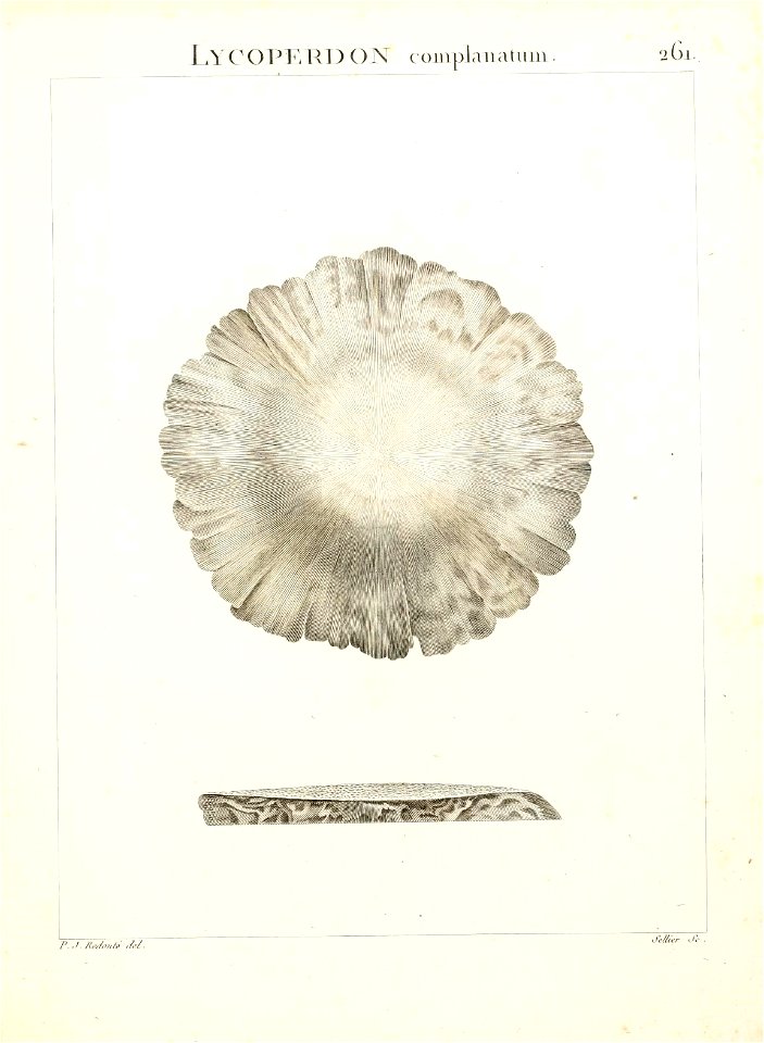 n292_w1150