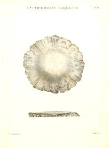 n292_w1150