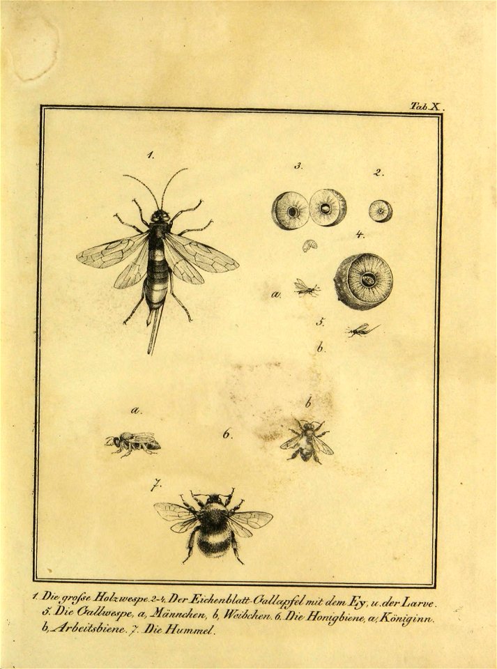 n172_w1150