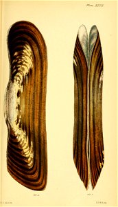 n574_w1150
