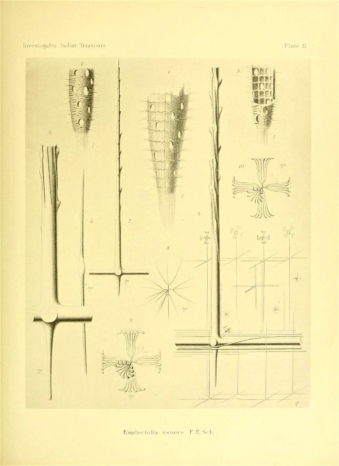 n168_w1150