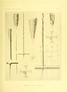 n168_w1150