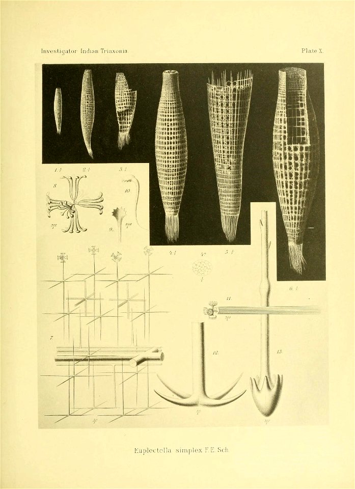 n164_w1150