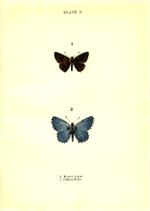 n56_w1150