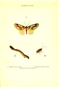n170_w1150