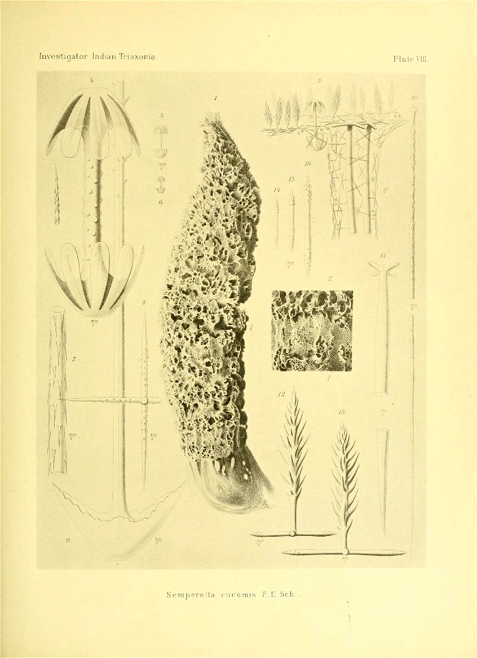 n156_w1150