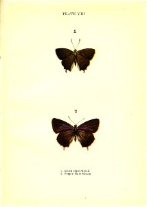 n48_w1150