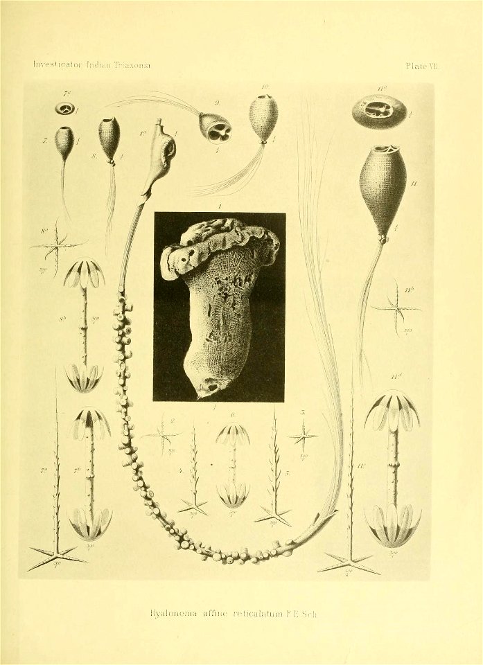n152_w1150