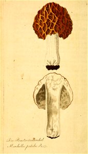 n355_w1150