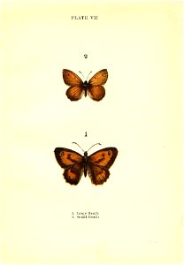 n44_w1150