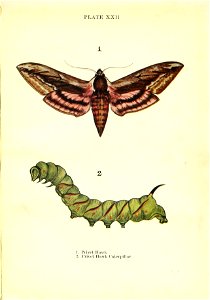 n102_w1150